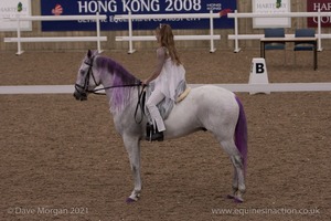 Lusitano Breed Society of Great Britain Show - Hartpury College - 27th June 2009